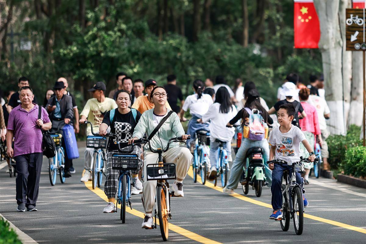 经典版单机炸三张在哪下载